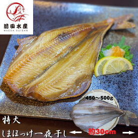 【肉厚！特大！】シマホッケ　一夜干し　1枚450〜500g前後サイズ　1枚ずつ真空　冷凍　干物　縞ほっけ　北海道加工　脂のりのよいアメリカ原料　母の日　父の日　お中元　お歳暮