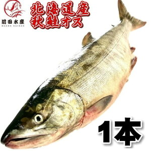 【北海道産】秋鮭オス　1本（約2.5-3kg）　生鮮品　身質の良い雄　アキサケ　さけ　シャケ　鮭　漁師さん応援　消費拡大　