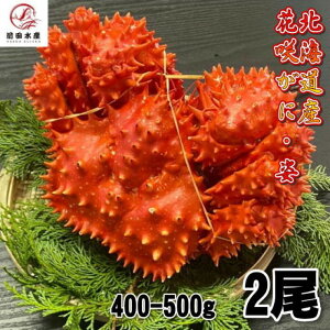 【訳あり】花咲がに 2尾(約400−500gサイズ) ボイル 北海道産 花咲ガニ 花咲きがに 蟹 かに 母の日 父の日 お中元 お歳暮