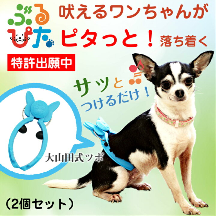 楽天市場 ぶるぴた 2個セット 吠える犬 走りまわる犬がピタリ と落ち着く トリマーの必需品 使い方 大山田式 犬のしつけdvd付 日本製 商品の色は随時変更されます 犬用 ペット ペット用品 しつけ 無駄吠え 小型犬 送料無料 Maedaya 前田家