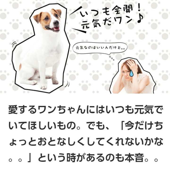 楽天市場 前田家限定クーポン配布中 ぶるぴた １個 吠える犬 走りまわる犬がピタリ と落ち着く トリマーの必需品 使い方 大山田式 犬のしつけdvd付 日本製 商品の色は随時変更されます 犬用 ペット ペット用品 しつけ 無駄吠え 小型犬 送料無料 Maedaya