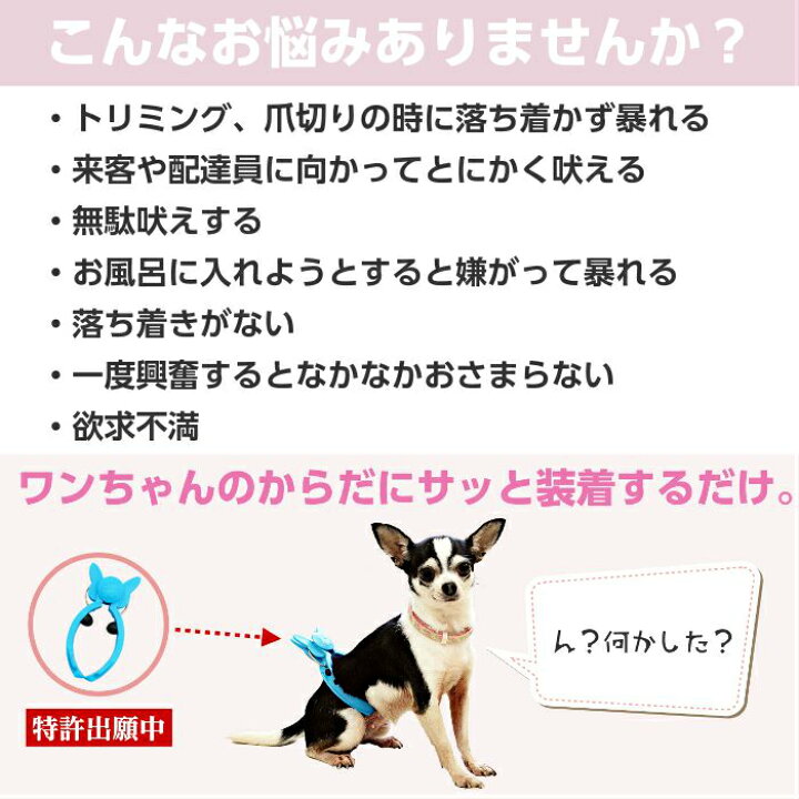 楽天市場 前田家限定クーポン配布中 ぶるぴた １個 吠える犬 走りまわる犬がピタリ と落ち着く トリマーの必需品 使い方 大山田式 犬のしつけdvd付 日本製 商品の色は随時変更されます 犬用 ペット ペット用品 しつけ 無駄吠え 小型犬 送料無料 Maedaya