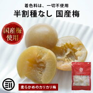 前田家 国産 半割 種なし梅 個包装 145g/290g 着色料不使用 梅干 種なし 国産梅 カリカリ 梅 おやつ 夏バ…