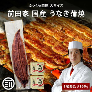 Oc Y Ȃ 1160g Ⓚ Ă ^ERt X̖ V EiM ܂ނ Ђ܂Ԃ ɏ yp̉N̓ p O Mtg p ϔ  ƒp