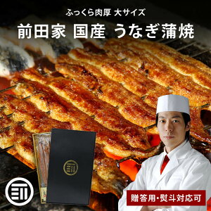 yr[TLz Oc Y Ȃ 1160g 2/3/4 Ⓚ p lΉ ^ERt Ă X̖ V EiM ܂ނ Ђ܂Ԃ ɏ Mtg ϔ Ε 