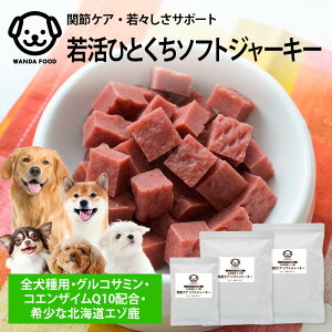 Oc _t[h Y AM[ ֐߃PA  e G]  \tg W[L[ WrG  hbOt[h ^pN ᎉb J[ 1000~|bL 