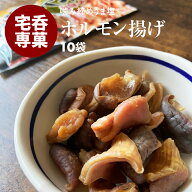 【GW前お届け】ホルモン揚げ 10袋 おつまみ 珍味 お徳用 持ち運びに便利な 小袋 おやつ お土産 B級グルメ…
