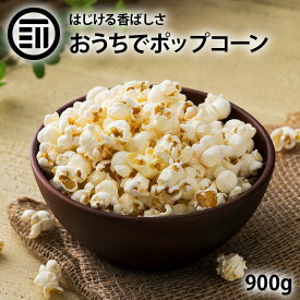 前田家 ポップコーン 900g お徳用 とうもろこし コーン 海外菓子 スナック菓子 オンライン飲み会 映画のお供 ポイント消化 買い回り 送料無料