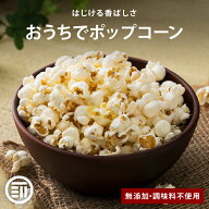 前田家 ポップコーン 豆 お徳用 種 アメリカ産 とうもろこし 遺伝子組み換えなし コーン 大容量 海外菓子…