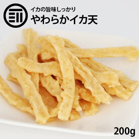 【期間限定 10％OFFクーポン有】前田家 やわらか イカ天 しっとり食感 旨みしっかり いかフライ イカフライ イカ 烏賊 いか天 ソフト タイプ 珍味 おつまみ おやつ するめ やみつき 宴会 酒の肴 メール便 MAEDAYA 1000円ポッキリ 送料無料