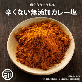 前田家 無添加 辛くないカレー塩 100g 簡単 味付け1歳からの 離乳食 カレー粉 パウダー 粉末 カレー風味 炒飯 野菜炒め スパイス スパイスソルト 塩味 シルクソルト ヒマラヤ 岩塩 天然 ミネラル カルシウム 安心 家庭用 業務用 メール便 送料無料