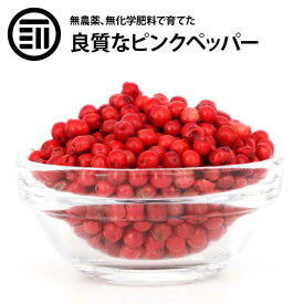【セール限定 10％OFFクーポン有】前田家 マダガスカル産 ピンクペッパー ホール 希少 最高品質 無農薬 無化学肥料 胡椒 スパイス ハーブ 香辛料 ステーキ パスタ お徳用 家庭用 業務用 お徳用 家庭用 業務用 買い回り 買回り 1000円ポッキリ 送料無料