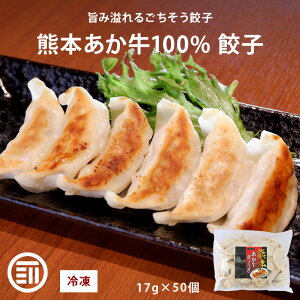 H[O F{ Lq 17gx50 Ⓚ Ɩp ܂  ԋ Lq ĂLq Lq LqⓀ F{a a   O Mtg Oc  MAEDAYA