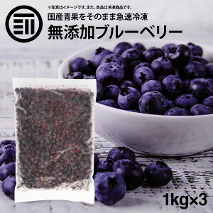 ブルーベリー 1kgの人気商品 通販 価格比較 価格 Com