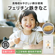 【セール限定 10％OFFクーポン有】前田家 フェリチン鉄きなこ 30g/100g サプリメント 健康食品 幼児 サプ…