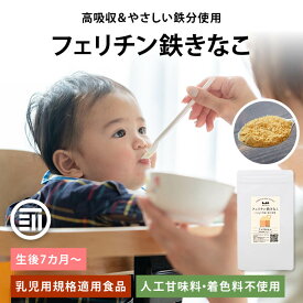 【セール限定 10％OFFクーポン有】前田家 フェリチン鉄きなこ 30g/100g サプリメント 健康食品 幼児 サプリ フェリチン鉄 鉄分 大豆 栄養補助 添加物不使用 ベビーフード 離乳食 きなこ 鉄 粉末 乳幼児 幼児食 成長期 子ども 1000円ポッキリ 送料無料 MAEDAYA