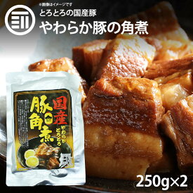 [ポイント3倍] やわらかとろとろ 豚角煮 計500g 250gx2袋 国産豚 豚の角煮 煮豚 煮込み料理 豚肉 ぶた ブタ ポーク レトルト 惣菜 煮物 おかず 常温 食品 居酒屋 おつまみ 酒の肴 アテ グルメ 非常食 お徳用 家庭用 業務用 買い回り 買回り 送料無料