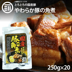 [ポイント3倍] やわらかとろとろ 豚角煮 5kg (250gx20袋) 国産豚 豚の角煮 煮豚 煮込み料理 豚肉 ぶた ブタ ポーク レトルト 惣菜 煮物 おかず 常温 食品 居酒屋 おつまみ 酒の肴 アテ グルメ 非常食 お徳用 家庭用 業務用 買い回り 買回り 送料無料