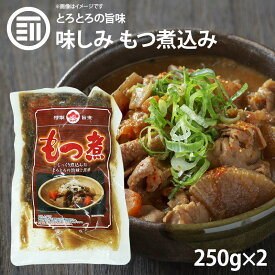 マルマツ 九州の味 とろとろ もつ煮込み 計500g 250gx2パック もつ味噌煮込み 常温 国内製造 もつ煮 モツ煮 ホルモン 食品 居酒屋 おつまみ お徳用 家庭用 業務用 買い回り 買回り 送料無料