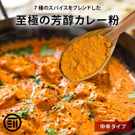 【セール限定 10％OFFクーポン有】前田家 至極の芳醇 カレー粉 粉末 カレーパウダー スパイス コリアンダー ターメリック クミン 黒こしょう 赤唐辛子 カルダモン ミックススパイス 本格カレー カレールー 香辛料 調味料 お徳用 送料無料料 熱中症