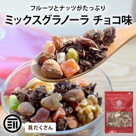 【セール限定 10％OFFクーポン有】前田家 ミックスグラノーラ チョコ味 200g/400g/800g 具材50％超 ナッツ フルーツ レーズン カカオ シナモン シリアル フレーク 食物繊維 メール便 1000円ポッキリ 送料無料 MAEDAYA
