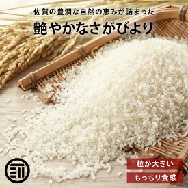 無洗米 プロが選ぶ厳選 一等米　米 食味ランク 特A さがびより 計10kg(5kgx2) 精米　佐賀県産 送料無料