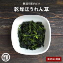 【セール限定 10％OFFクーポン有】前田家 無添加 乾燥ほうれん草 国産 カットボイル済み 常温保存可能 熱風乾燥 エア…