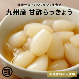 無添加 らっきょう 甘酢 計600g 150gx4 蜂蜜入り 国産 九州産 着色料不使用 保存料不使用 プレミアム カレー チャーハン おつまみ ポイント消化 買い回り 送料無料