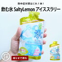 赤城フーズ 飲む氷 SaltyLemon アイススラリー 塩レモン味 3個/5個/8個 凍らせてもんで飲む スポーツ 現場 夏バテ防止 塩分 クエン酸 カリウム 補給 レモン 送料無料 熱中症対策 義務化 屋外 作業 熱中症 職場 熱中症グッズ