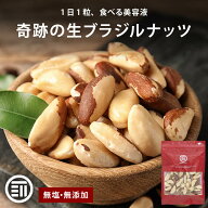 前田家 生ブラジルナッツ 120g/230g 無塩 無添加 ペルー産 殻なし セレン ナッツ ナッツ習慣 ブラジルナ…