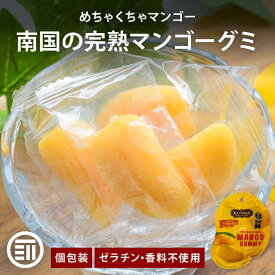 【セール限定 10％OFFクーポン有】カンナ マンゴーグミ 2袋/4袋/8袋 1袋50g タイ ゼラチンフリー マンゴー グミ ソフトグミ コラーゲン 果汁 KUNNA Kunna 前田家 1000円ポッキリ 送料無料 メール便 MAEDAYA