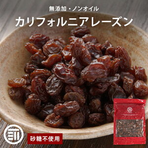 Oc Y JtHjA[Y mIC sgp ɊʕTvg hCt[c Ԃǂ AgVAj |tFm[  pޗ p ƒp 