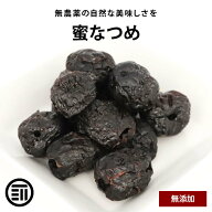【セール限定 15％OFFクーポン有】前田家 無添加 蜜なつめ 種抜き ナツメ 棗 蜜漬け 糖漬け 糖蜜 鉄分 健…