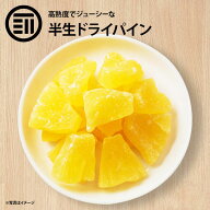 前田家 高熟度 ドライパイナップル しっとり ライフルーツ パイナップル ジューシー パイン ヨーグルト …