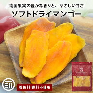 前田家 ソフト ドライマンゴー 180g/350g/550g 着色料不使用 マンゴー ドライ ソフトドライマンゴー スラ…