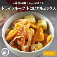 【セール限定 10％OFFクーポン有】前田家トロピカルミックス ドライフルーツ 4種ミックス 半生 マンゴー …