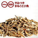 10%OFFクーポン有 【送料無料】 おつまみ おやつ 国産 やみつき まるごと小魚 300g お徳用 業務用 珍味 瀬戸内産カタクチイワシ使用 ビール お酒 ...