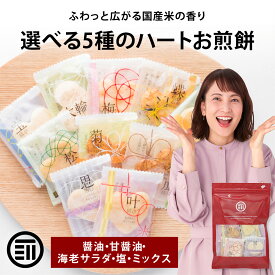 【セール限定 15％OFFクーポン有】前田家 選べる5種の味 ハートお煎餅 8個/24個/32個 個包装 醤油 甘醤油 海老サラダ 塩 ミックス 国産 煎餅 せんべい 詰め合わせ 1000円ポッキリ 送料無料 メール便 MAEDAYA