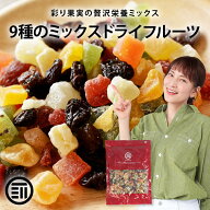 前田家 ドライフルーツミックス ミックスフルーツ 9種類の贅沢ドライフルーツ ビタミン 食物繊維 鉄分 カ…