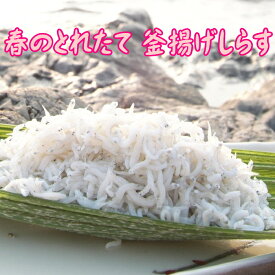 【送料無料！年に1度のキャンペーン】和歌山産！春のとれたて釜揚げしらす 800g【smtb-k】【w3】