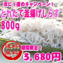 【送料無料!年に1度のキャンペーン】和歌山産!春のとれたて釜揚げしらす 800g【smtb-k】【w3】