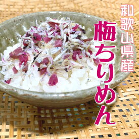 和歌山県産 カリカリ梅ちりめん 80g 産地直送 老舗しらす屋 無添加 湯浅 家庭用 健康 製造直売 ご飯のお供 パスタ サラダ おにぎり おつまみ 朝食