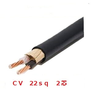 CV�P�[�u���@CV 22sq×2�c (22mm 2c) �@�t�W�N���@1m����ؒfOK cv22x2 CV22sqx2c