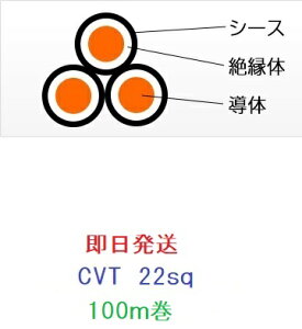 ���������@CVT22SQx3C�@100m�� �d���@�P�[�u���@CVT22�@�t�W�N��