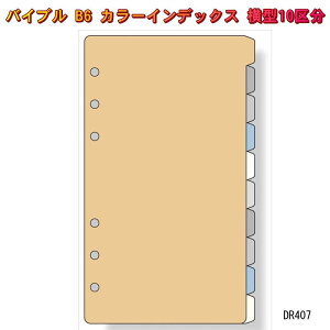 VXe蒠 tB oCu J[CfbNX  ^10敪 B6 TCY 6 tB _B` DR407 ylR|X֑Ήz