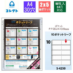 |Pbg A4 30 oC_[ ւ 10|Pbg 2x5i x[Y[ttB N[ubN  I^ 10 S-4250 RNg