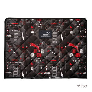 hГЗpJo[ v[} PUMA wZ j̎q PM421