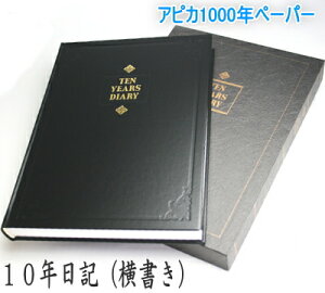 10年日記 B5サイズ横書き1日3行 日付表示入り D305