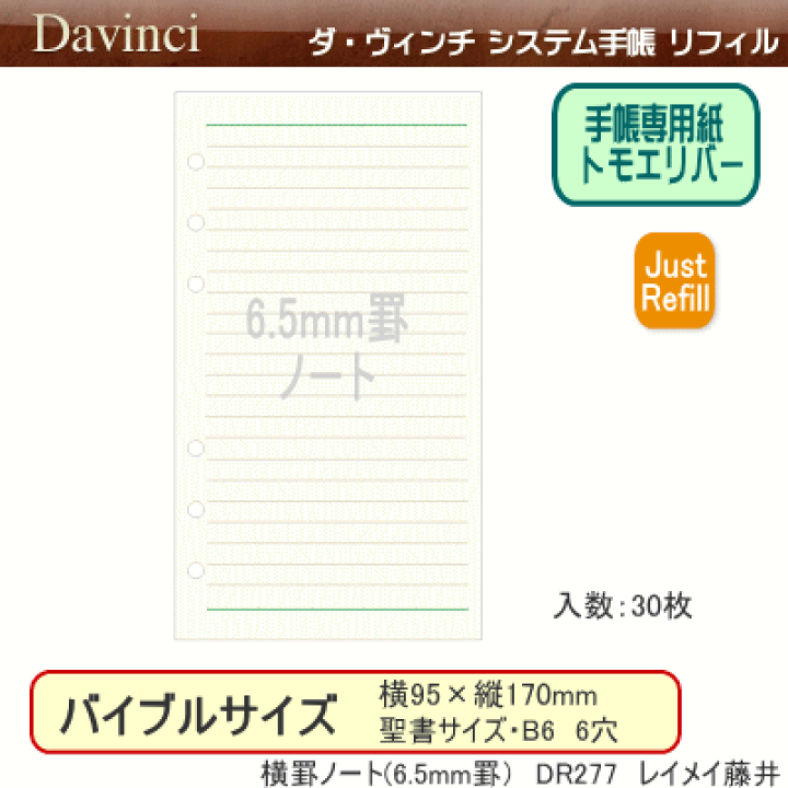 最速初回検査導入バイブル　美品 ダ・ヴィンチ 聖書サイズリフィル：2026年日付入商品カタログ