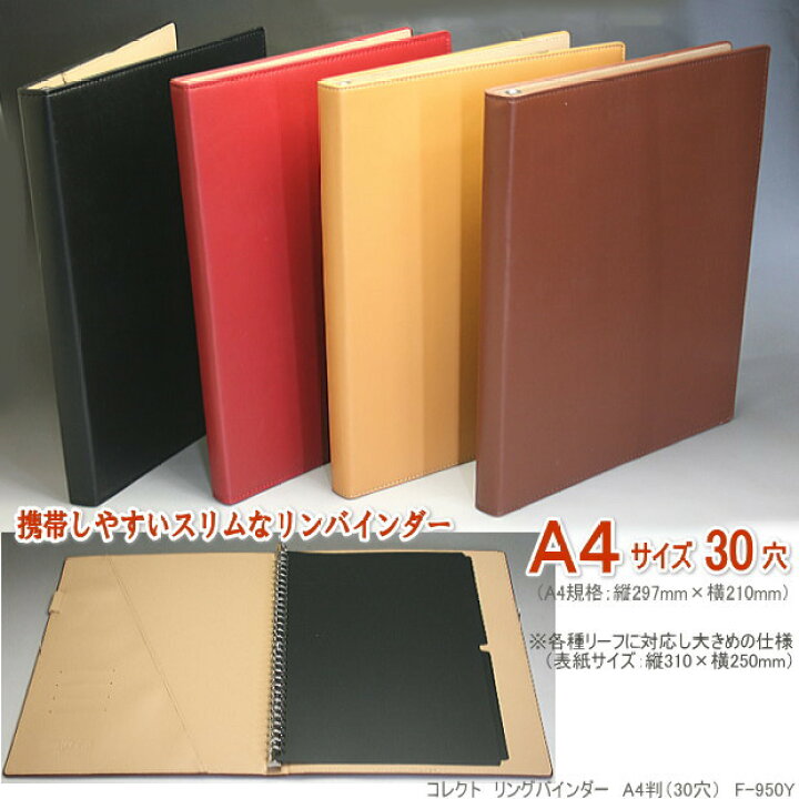 ルーズリーフバインダー おしゃれ A5 穴 リングバインダー A5 穴 Pocket Company 通販 ずっともっと ヤフショ店 業務用セット ナカバヤシ ルーズリーフポケットb5 ルp 250 セット Fiddle Mementor No